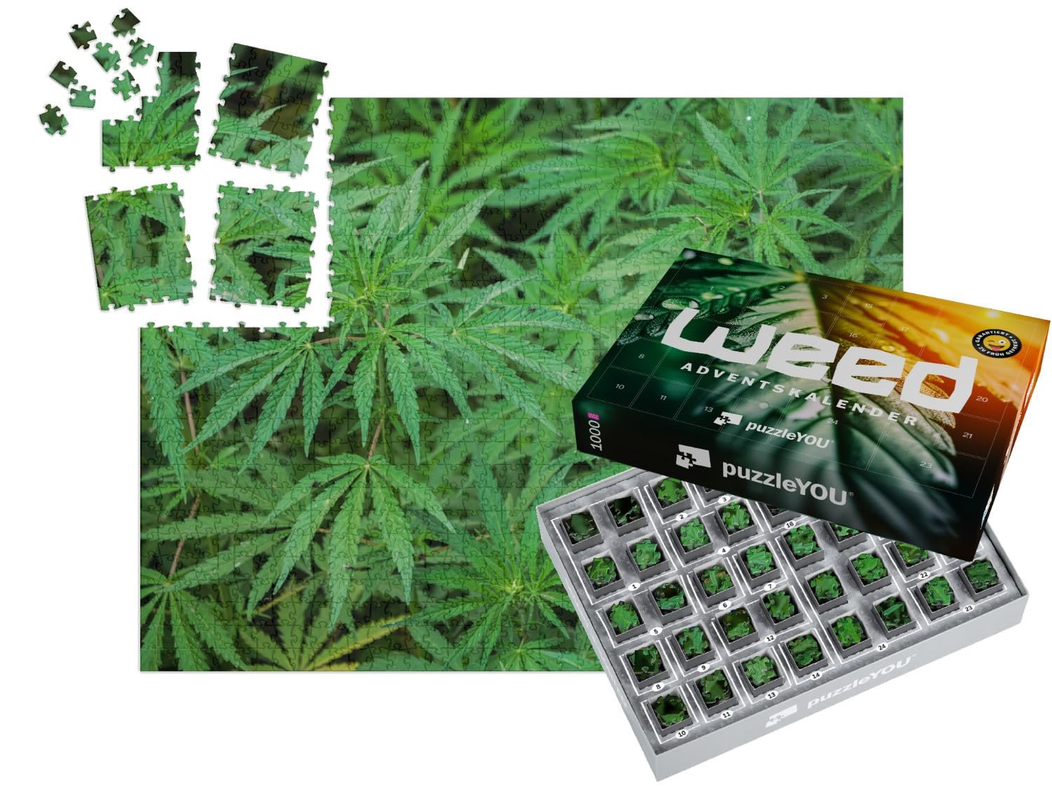 Пазл-адвент-календарь puzzleYOU Cannabis Sativa, Fresh Plants 1000 элементов, фото №1