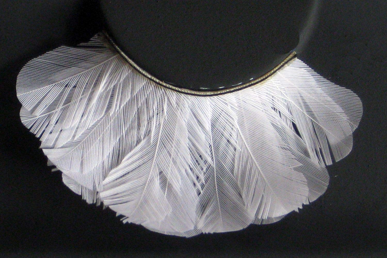 Цветные ресницы Eulenspiegel Белые Перо, фото №2