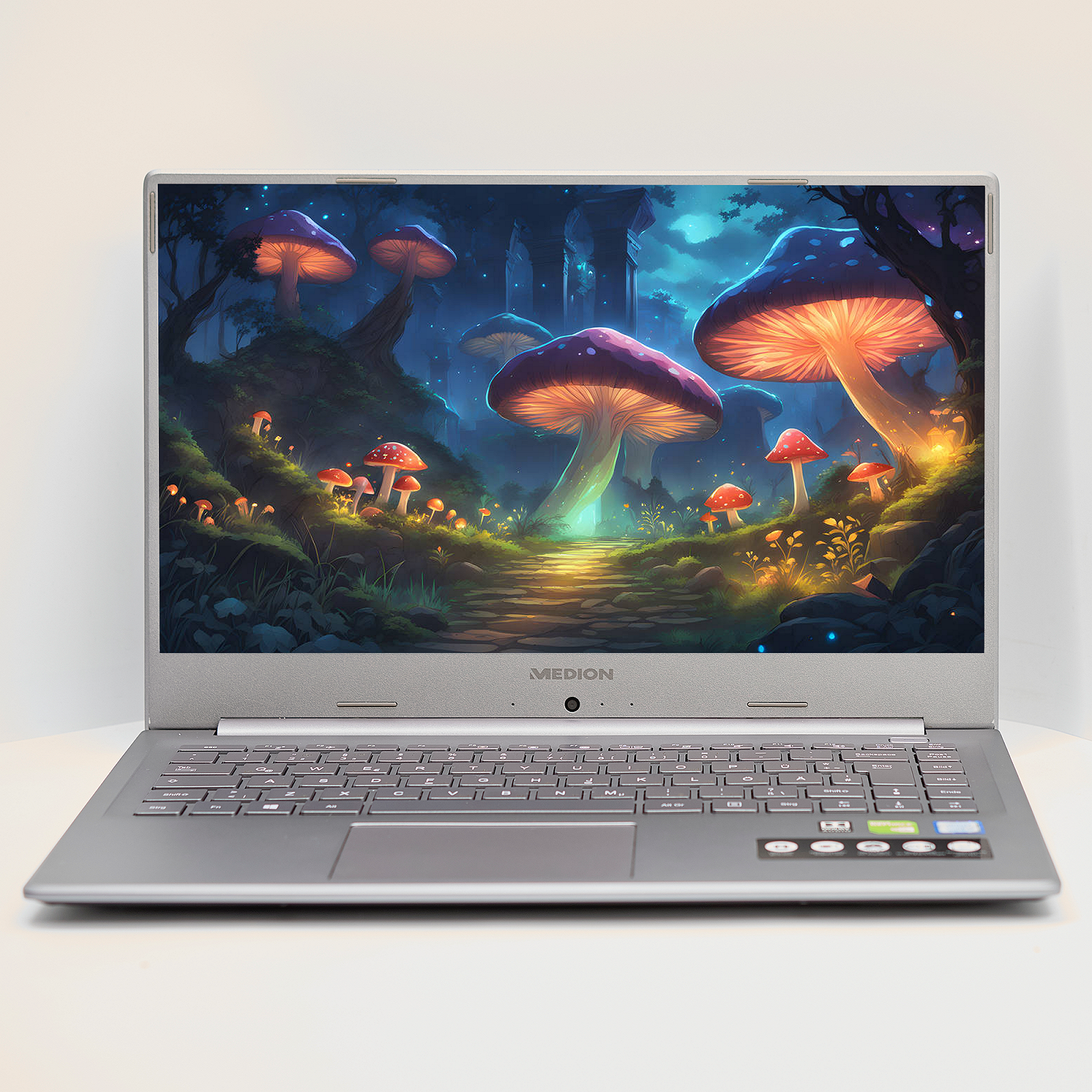 Ноутбук 15.6'' Medion (Lenovo Group) Akoya P15645 | Intel Core i7-8565U | IPS (1920x1080) FullHD | RAM 16 ГБ | SSD 256 ГБ | Nvidia GeForce MX250 | Intel UHD Graphics 620 | Металевий корпус | Win11 (4985), фото №1