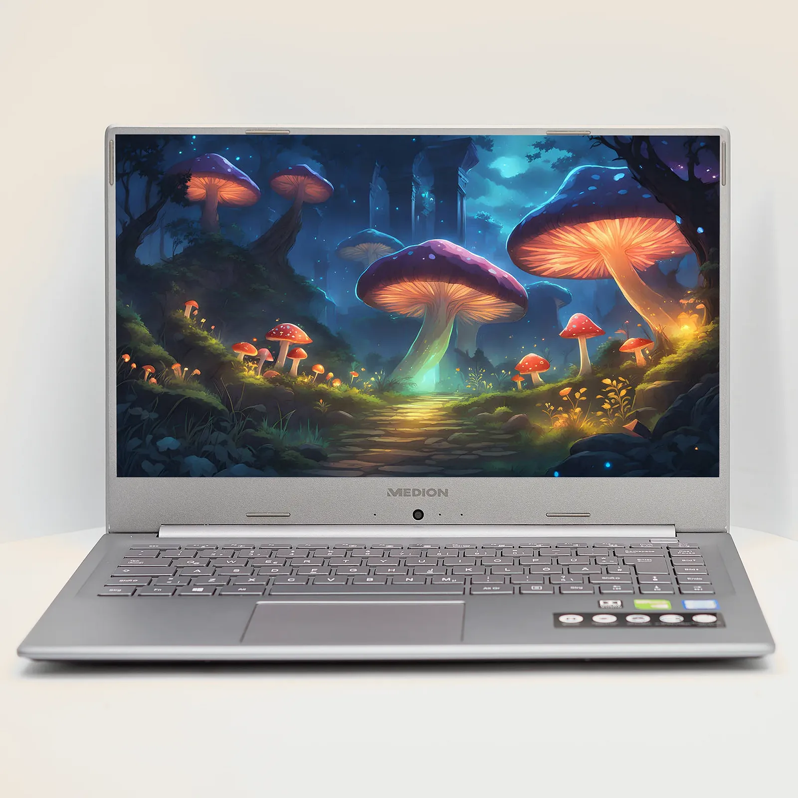 Ноутбук 15.6'' Medion (Lenovo Group) Akoya P15645 | Intel Core i7-8565U | IPS (1920x1080) FullHD | RAM 16 ГБ | SSD 256 ГБ | Nvidia GeForce MX250 | Intel UHD Graphics 620 | Металевий корпус | Win11 (4985), фото №1 Ноутбук 15.6'' Medion (Lenovo Group) Akoya P15645 | Intel Core i7-8565U | IPS (1920x1080) FullHD | RAM 16 ГБ | SSD 256 ГБ | Nvidia GeForce MX250 | Intel UHD Graphics 620 | Металевий корпус | Win11 (4985), фото №1