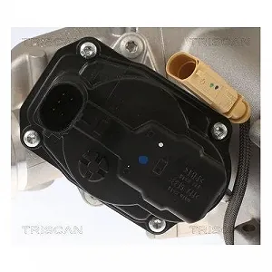 Клапан EGR TRISCAN 8813 29013 для AUDI synthetic.ua - Фото 1