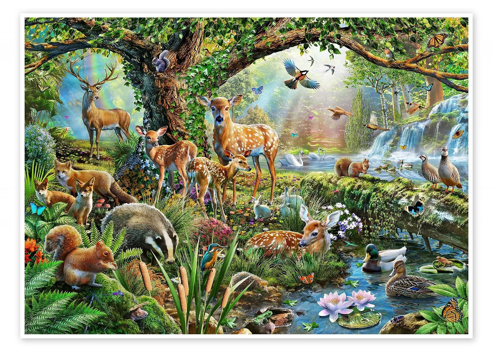 Постер Adrian Chesterman Forest Animals 40 x 30 см, фото №1