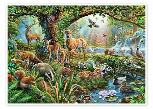 Постер Adrian Chesterman Forest Animals 40 x 30 см - Фото 1