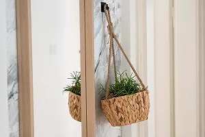 Підвісний кошик Decorasian Водяний гіацинт 22 см synthetic.ua - Фото 1