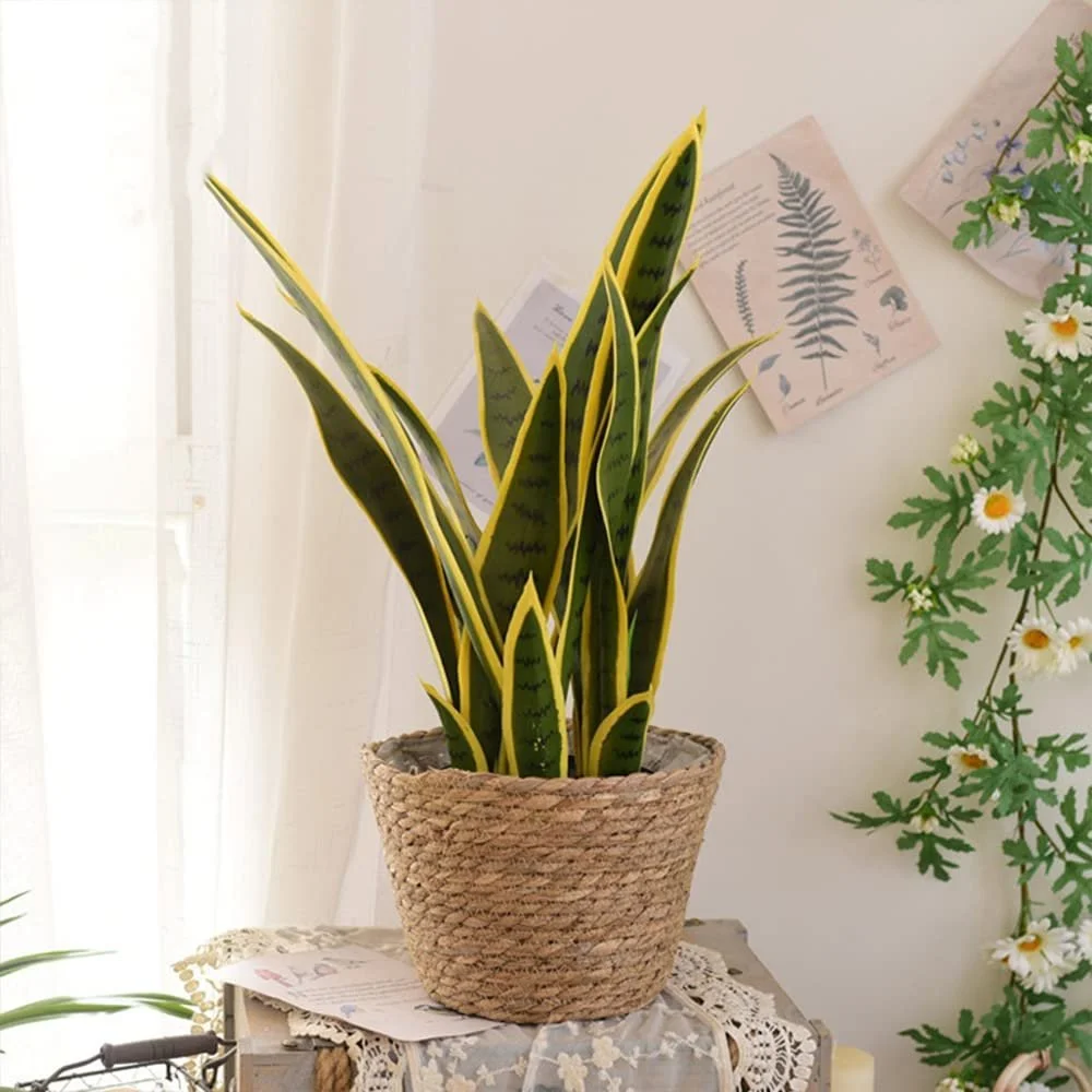 Підвісний кошик для рослин Бавовняна мотузка, фото №8