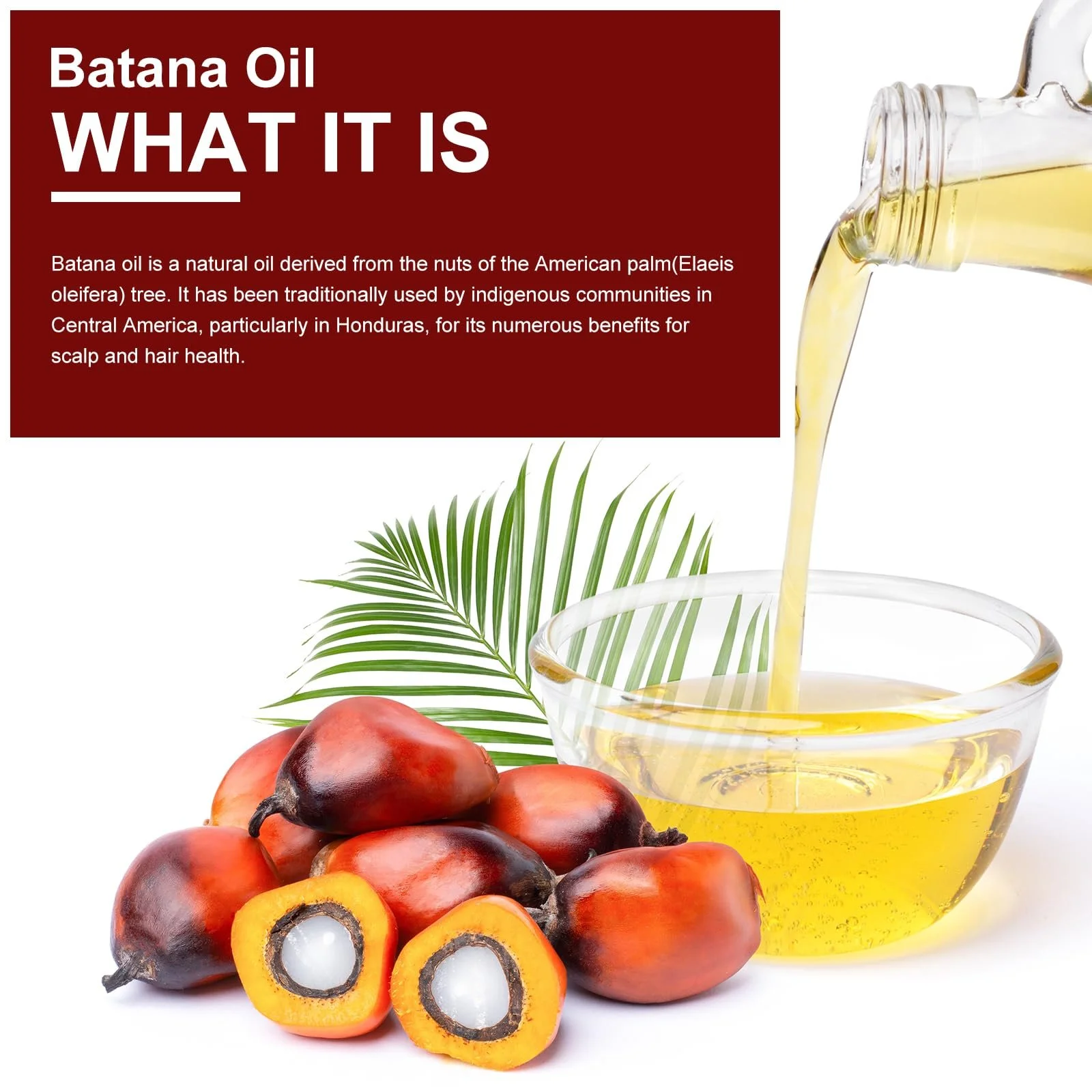 Кондиціонер Batana Oil Batana Oil 120 г, Живильний крем проти випадіння волосся та посічених кінчиків, Стимулює ріст волосся, фото №2 Кондиціонер Batana Oil Batana Oil 120 г, Живильний крем проти випадіння волосся та посічених кінчиків, Стимулює ріст волосся, фото №2