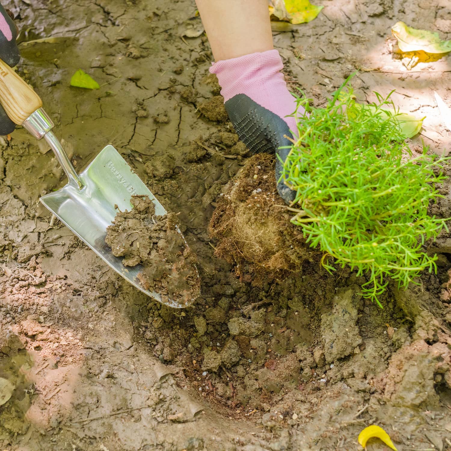 Лопатка Berry&Bird садова маленька ручна з нержавіючої сталі з дерев'яною ручкою для пересадки, копання, прополки, посадки, фото №6