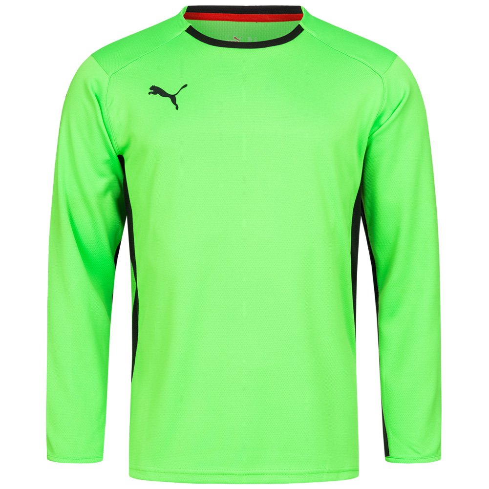 Джемпер Puma V1.08 700466-15 L, фото №1