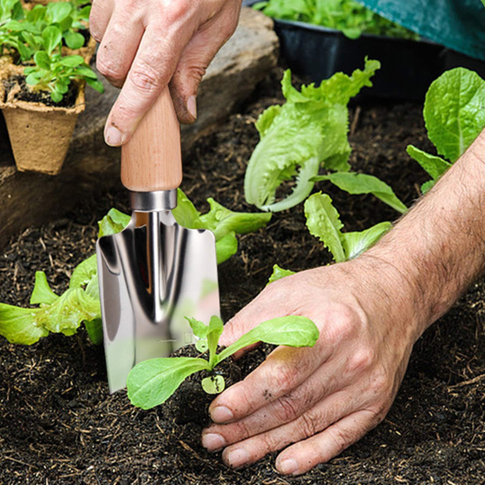 Лопата совковая садовый scalingscal, малый, универсальный, из нержавеющей стали, с деревянной ручкой, для посадки, пересадки, прополки, устойчив к коррозии., фото №2