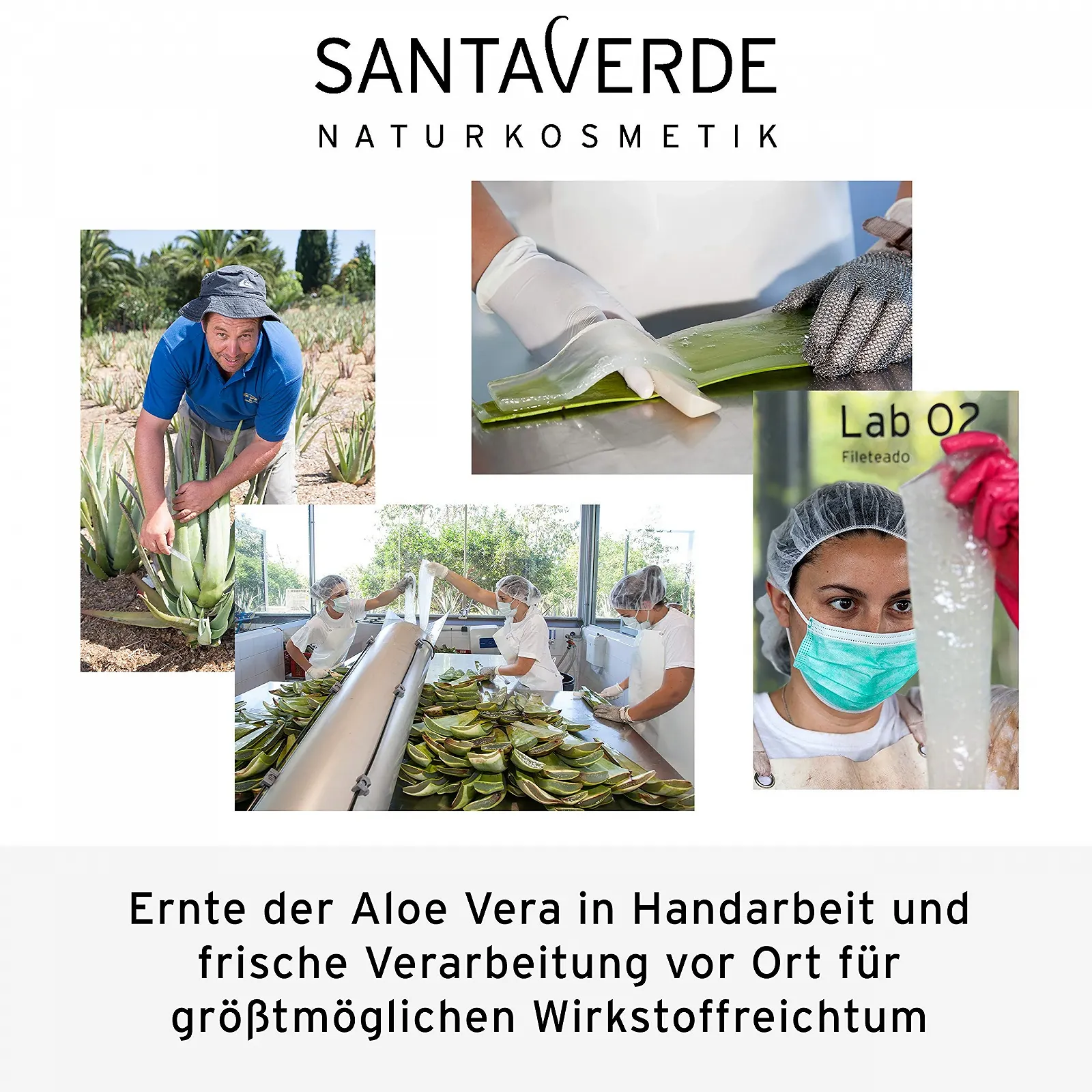 Насичений крем для обличчя SantaVerde Aloe Vera Creme Rich з алое вера та олією аргани, фото №7 Насичений крем для обличчя SantaVerde Aloe Vera Creme Rich з алое вера та олією аргани, фото №7