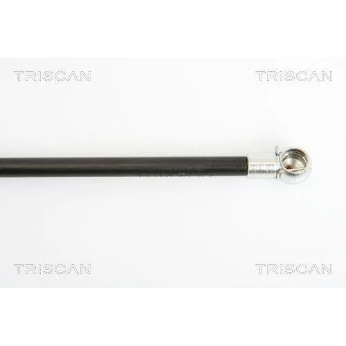Амортизатор багажника TRISCAN 8710 16241 для FORD, фото №3