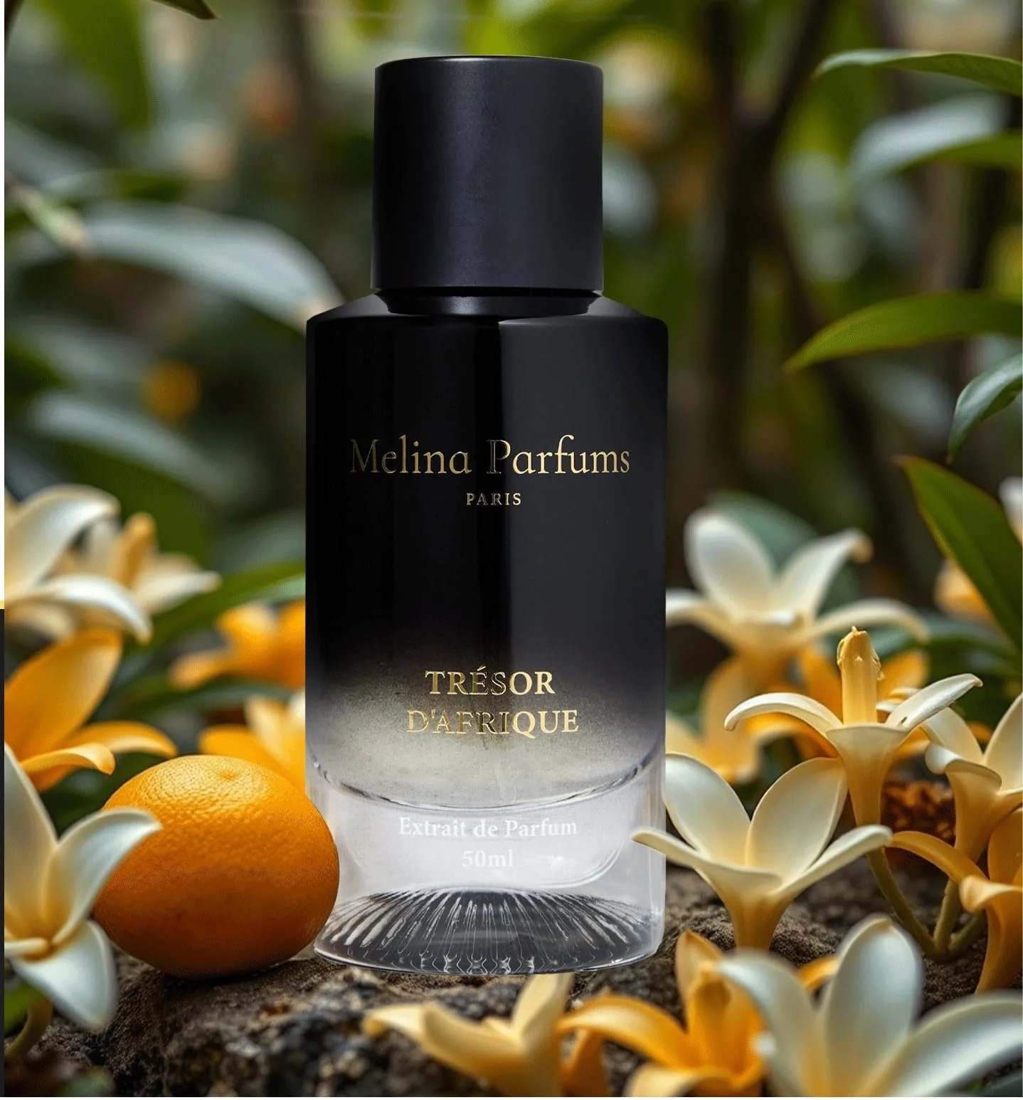 Парфуми Melina Parfums Trésor d'Africa Екстракт 50 мл для чоловіків, фото №4