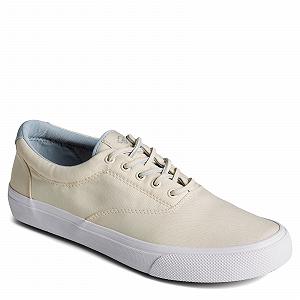 Кроссовки Sperry Striper II CVO мужские synthetic.ua - Фото 1