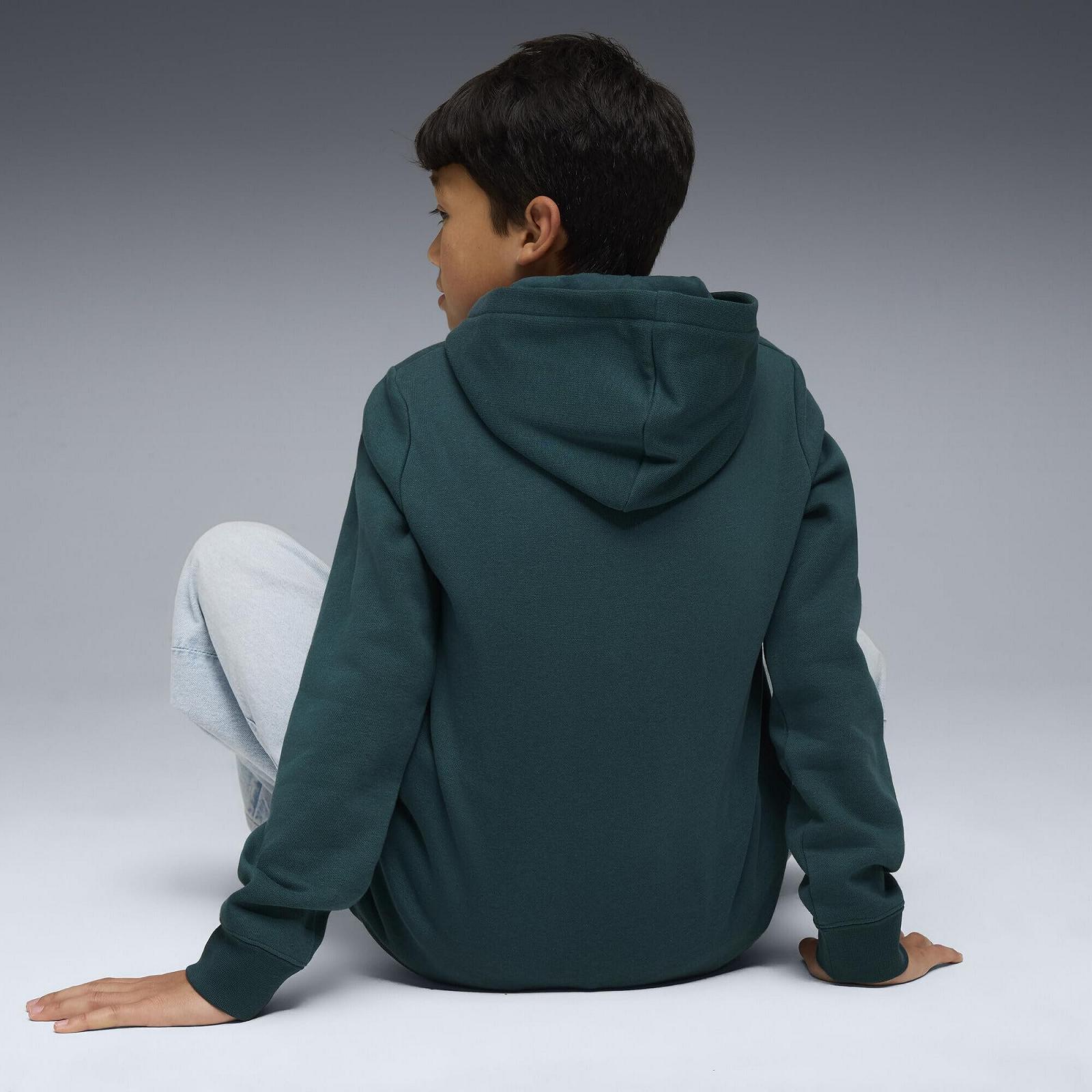 Худі Puma ESS No. 1 Logo Hoodie FL B для хлопчиків (1 шт. в упаковці), фото №3