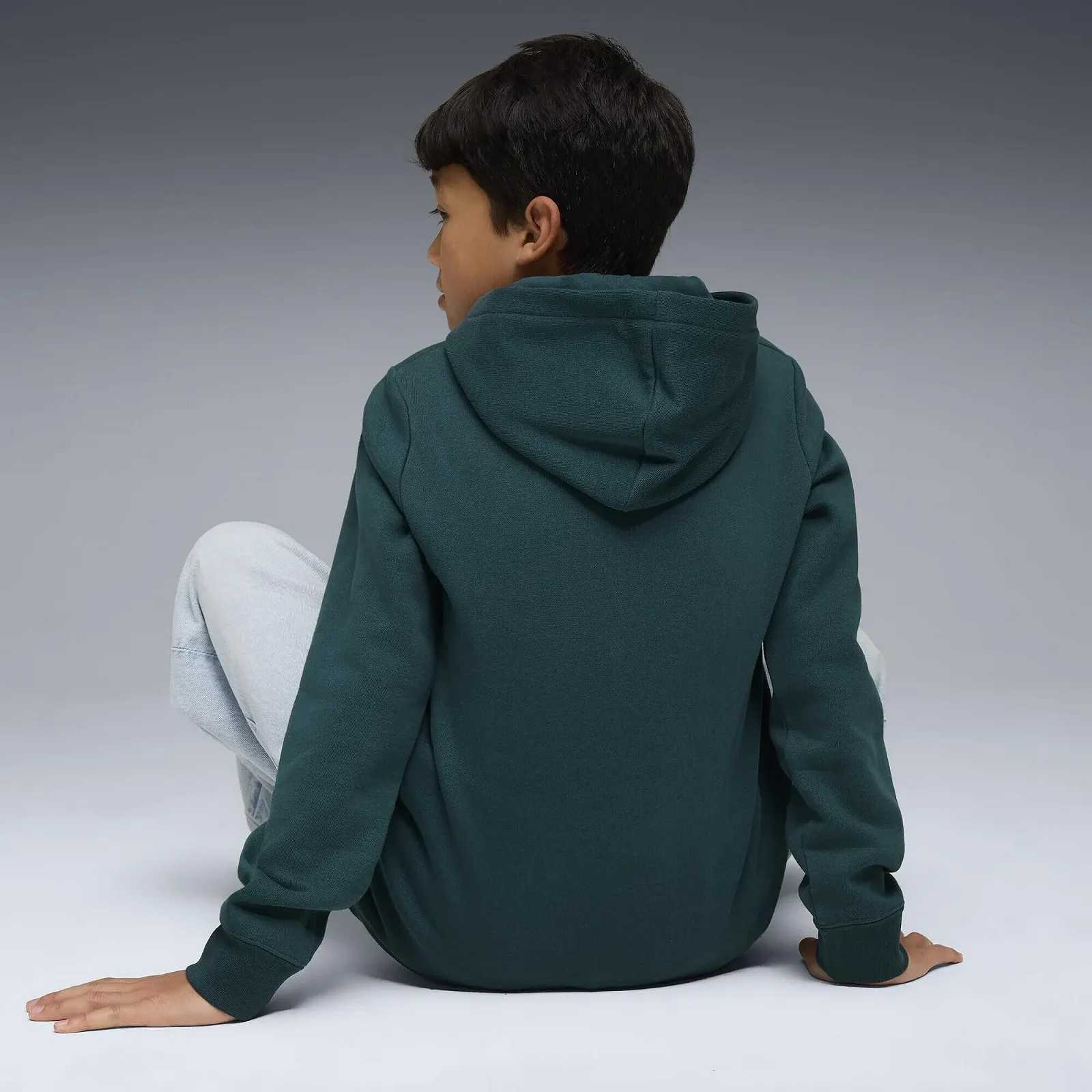 Худі Puma ESS No. 1 Logo Hoodie FL B для хлопчиків (1 шт. в упаковці), фото №3 Худі Puma ESS No. 1 Logo Hoodie FL B для хлопчиків (1 шт. в упаковці), фото №3