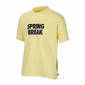 Футболка Nike SB TEE SPRING BREAK XL - Фото 1