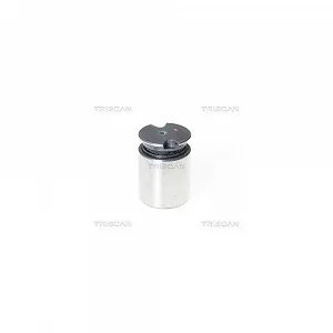 Поршень гальмівного супорта TRISCAN 8170 233634 - Фото 1