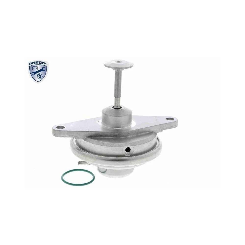 VEMO Клапан EGR V40-63-0019 EXPERT KITS + для OPEL SAAB, фото №1