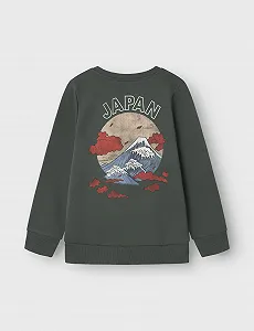 Толстовка NAME IT Nkmkalle LS Sweat Bru Ps synthetic.ua - Фото 1