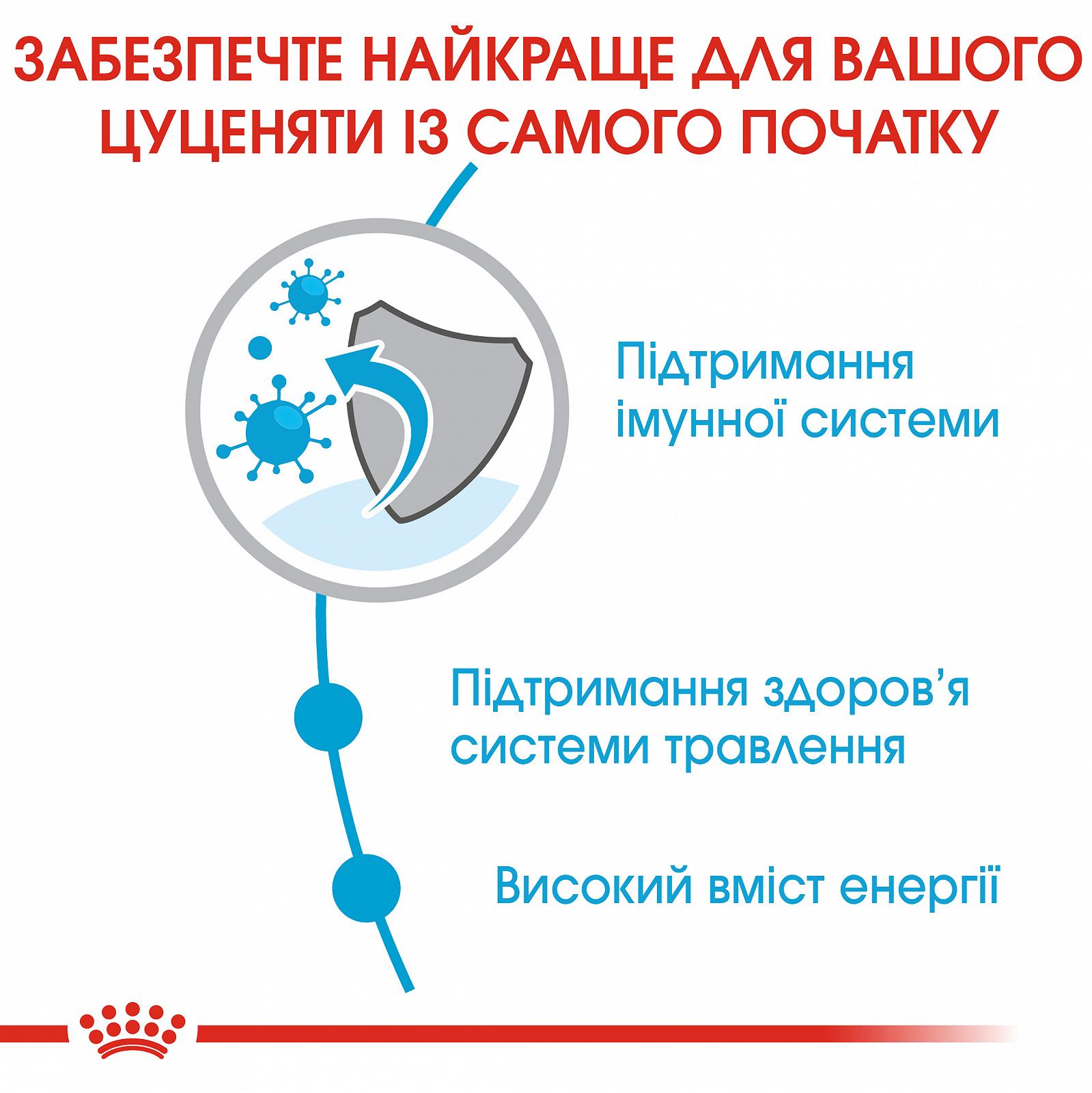 Сухой корм для щенков мелких пород Royal Canin Puppy Mini до 10 месяцев 800 г (30000082), фото №4