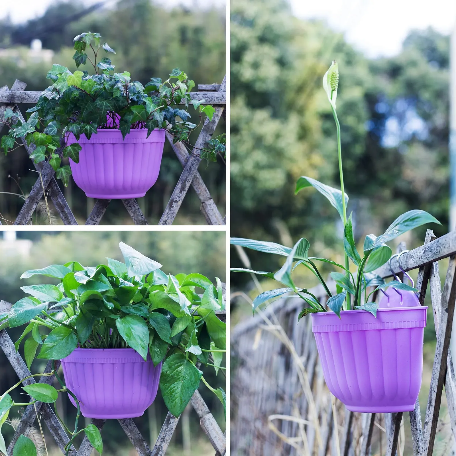 Настенное кашпо ORIMERC 4 шт. Полимерная смола Разноцветный, фото №9 Настенное кашпо ORIMERC 4 шт. Полимерная смола Разноцветный, фото №9