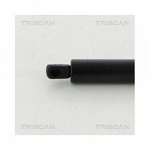 Газовая пружина багажника TRISCAN 8710 16273 для FORD, сзади слева synthetic.ua - Фото 1