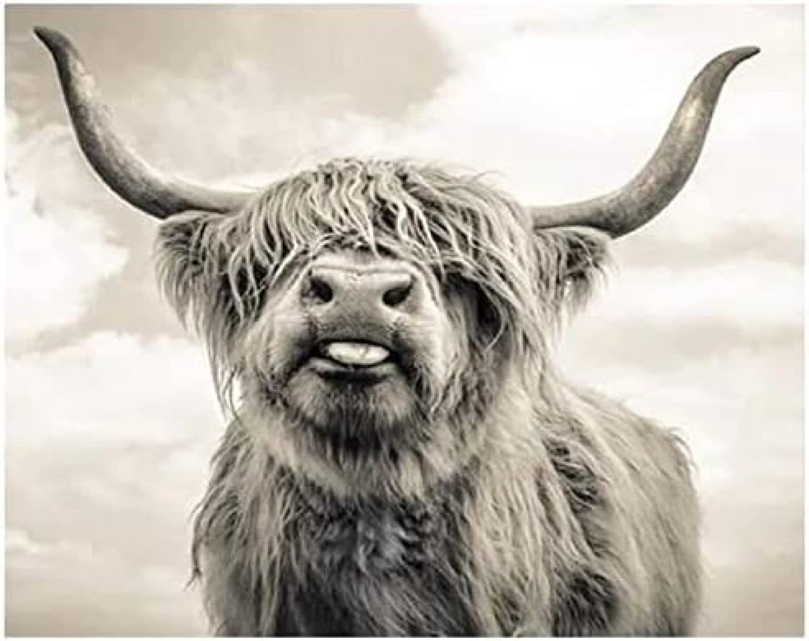 Пазл Highland Cow 1000 елементів 38 x 26 см, фото №1