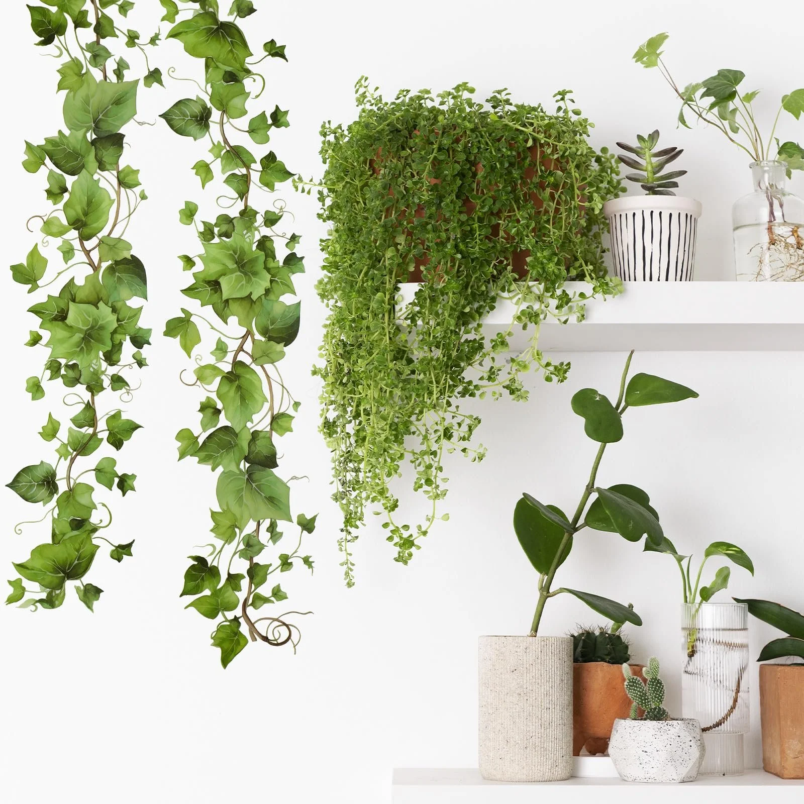 Наклейки на стену Зеленые лианы Растения Плющ Листья 4 шт. Самоклеящиеся, фото №3 Наклейки на стену Зеленые лианы Растения Плющ Листья 4 шт. Самоклеящиеся, фото №3