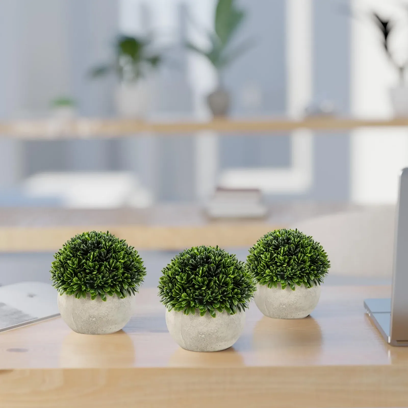 Искусственные растения PASCH 3 шт 13 см в горшках из натурального волокна, фото №3 Искусственные растения PASCH 3 шт 13 см в горшках из натурального волокна, фото №3