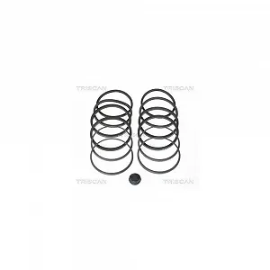 Ремкомплект тормозного суппорта TRISCAN 8170 204602 для переднего моста - Фото 1