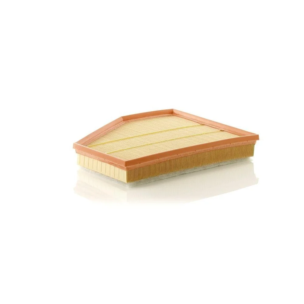 Воздушный фильтр MANN-FILTER C 31 143 для BMW, фото №1 Воздушный фильтр MANN-FILTER C 31 143 для BMW, фото №1