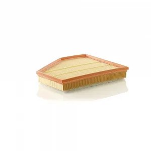 Воздушный фильтр MANN-FILTER C 31 143 для BMW - Фото 1