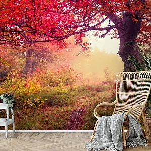 Фотошпалери 9079011a Autumn forest Флізелінові 352 x 250 см synthetic.ua - Фото 1