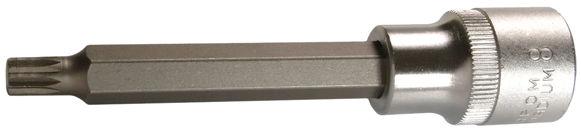 Торцевая головка с битой SW-STAHL 05202L 1/2" XZN M8 x 100 мм, фото №1