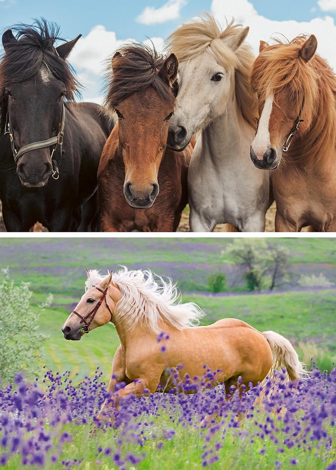 Дитячий пазл Ravensburger Horse Love 05148 2 x 24 елементи, фото №3