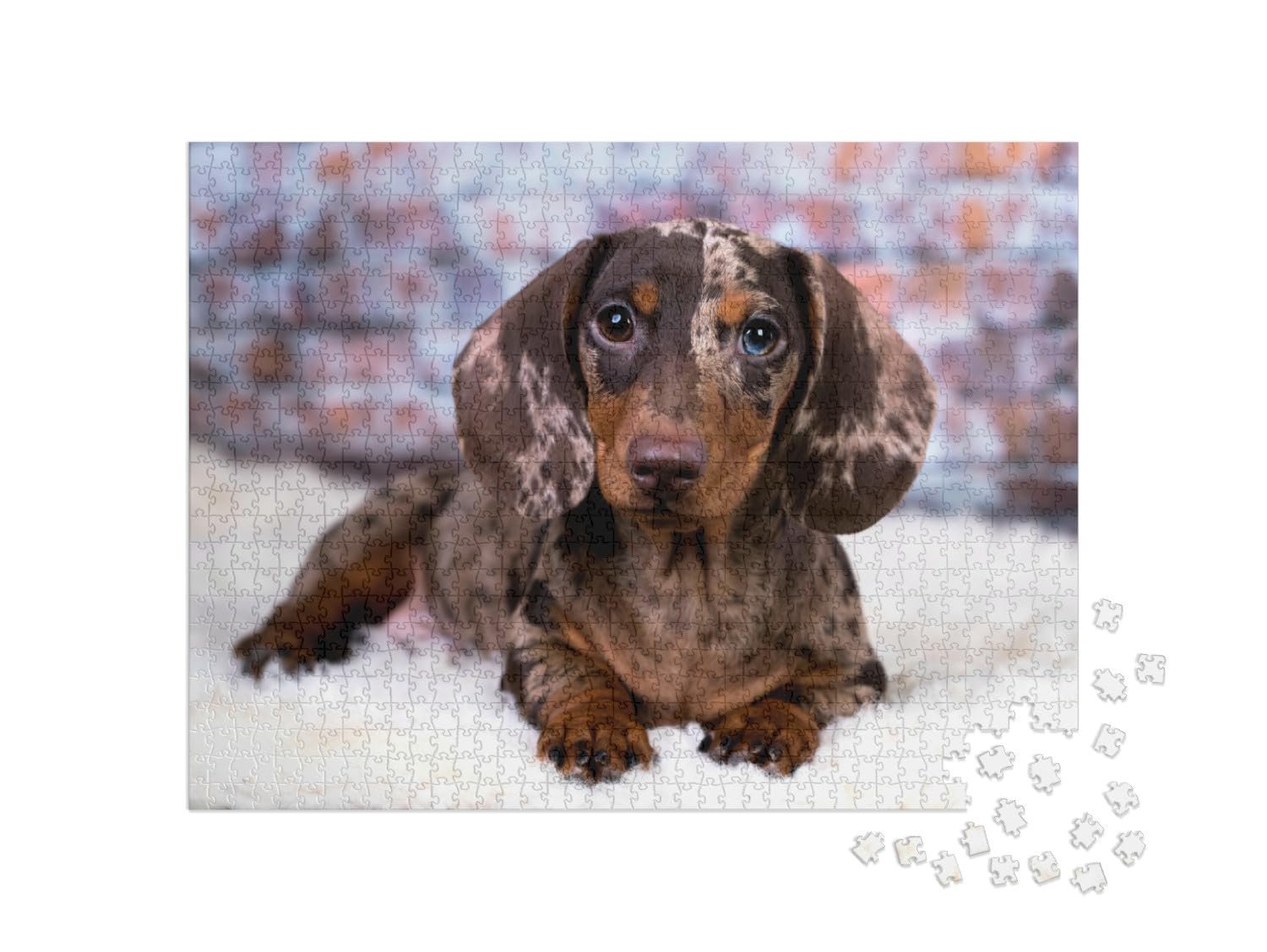Пазл puzzleYOU Dog Jigsaw Puzzle Collection Dachshund 1000 элементов, фото №2