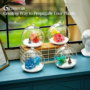 Подвесная стеклянная ваза-шар, 4 шт., 12 см, террариум для суккулентов и тилландсий synthetic.ua - Фото 1