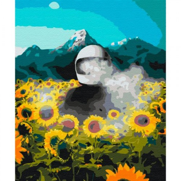 Картина за номерами Космічна Земля, фото №1