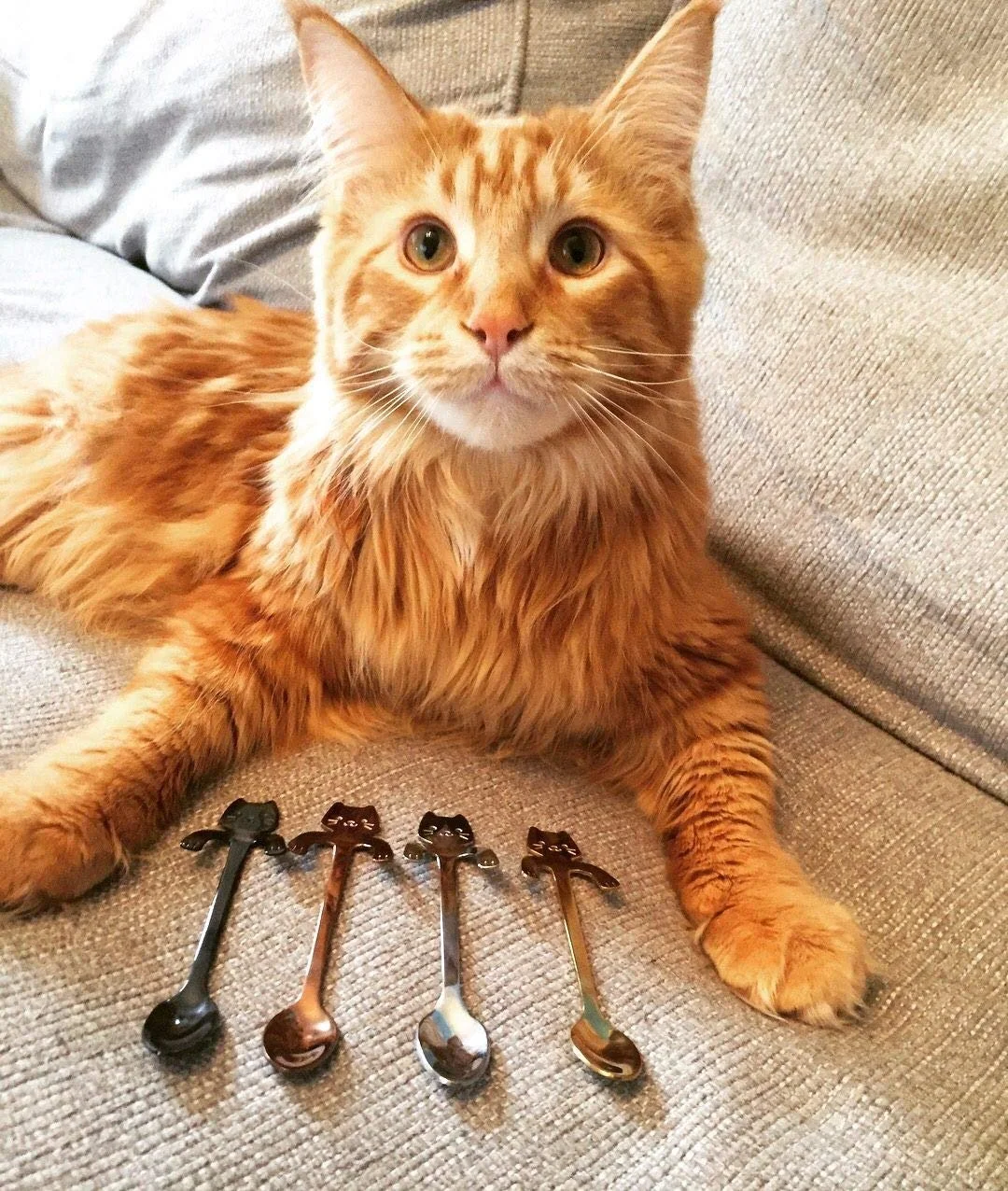 Ложка AYOMI Котячий дизайн з нержавіючої сталі 4 шт., фото №6 Ложка AYOMI Котячий дизайн з нержавіючої сталі 4 шт., фото №6