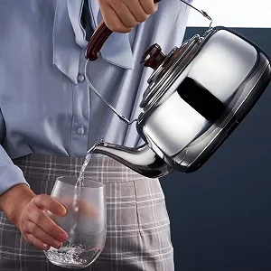 Чайник з нержавіючої сталі з свистком для газових та індукційних плит synthetic.ua - Фото 1