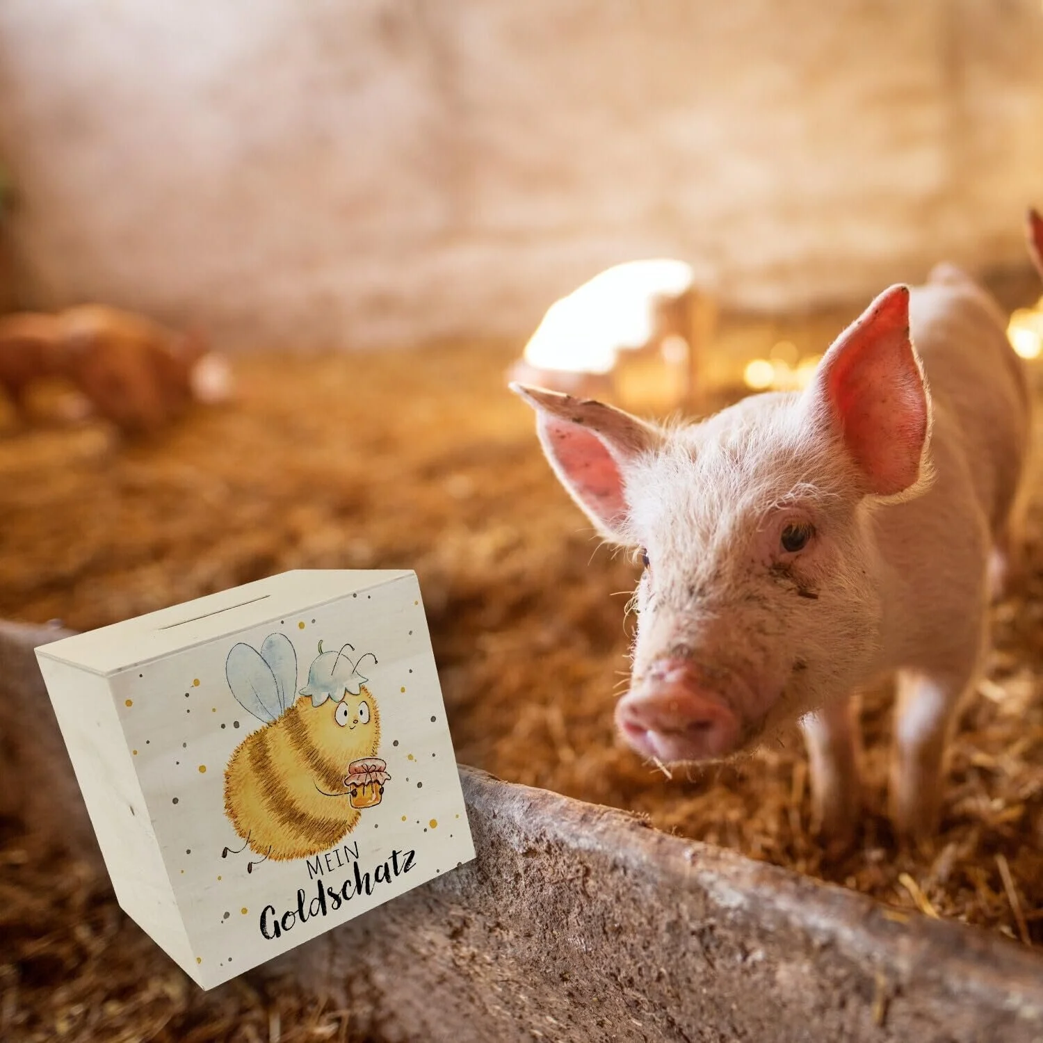 Скарбничка Pummel Bee Mein Goldschatz дерев'яна, фото №6