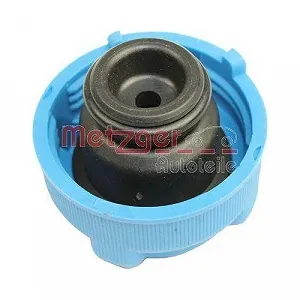 Кришка розширювального бачка METZGER 2140057 для FIAT FORD synthetic.ua - Фото 1