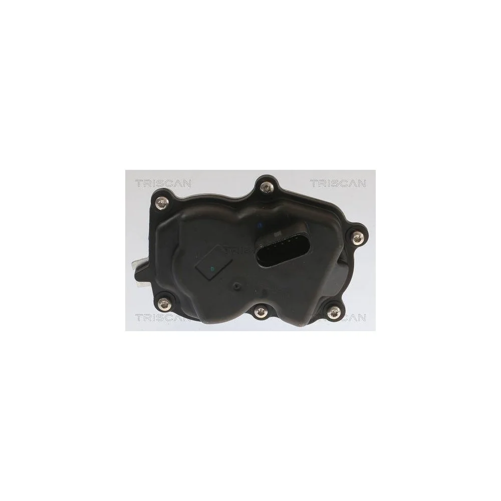 Клапан EGR TRISCAN 8813 29083 для SEAT SKODA VW, фото №1