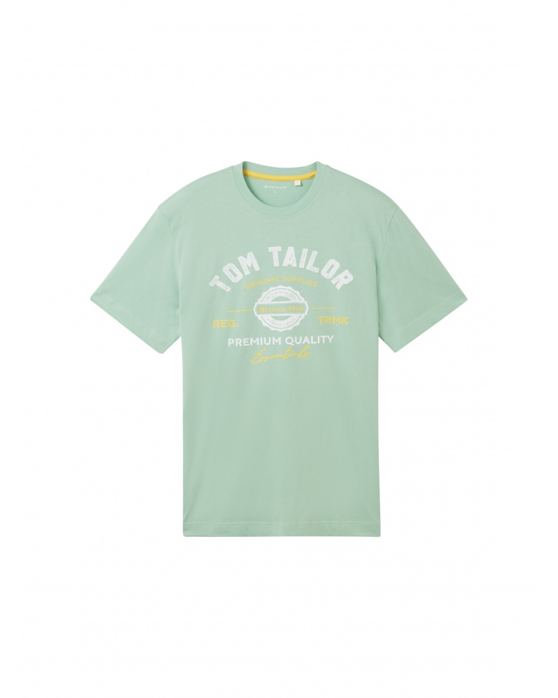 Футболка Tom Tailor LOGO TEE MEN'S 1037735-23383 Бирюзовый L, фото №5