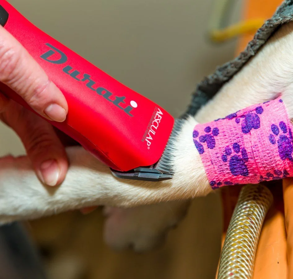 Бездротова машинка для стрижки Kerbl GT436-SR Червоний, фото №9 Бездротова машинка для стрижки Kerbl GT436-SR Червоний, фото №9