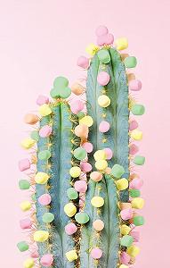 Пазл Ravensburger Puzzle Moment 17367 Кактус 200 элементов цена на synthetic.ua - Фото 1 Пазл Ravensburger Puzzle Moment 17367 Кактус 200 элементов synthetic.ua - Фото 1