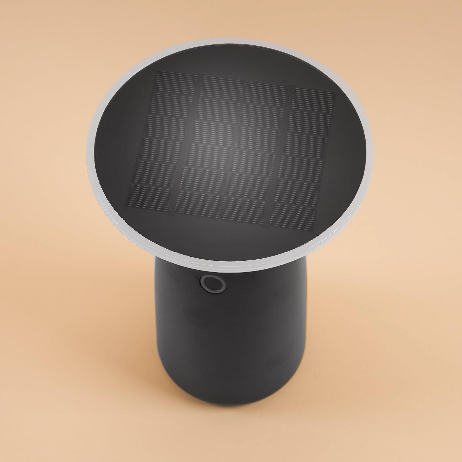 Настільна лампа esotec Talo 1000 Solar 3 рівні яскравості Li-Ion USB-C 23 см, фото №5