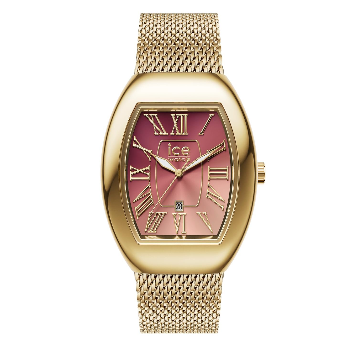 Годинник ICE-WATCH Ice Boliday Dome Metal Mesh Золотий Жіночий з ремінцем з нержавіючої сталі (Маленький), фото №1