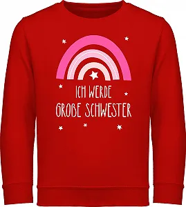 Світшот Shirtracer I Will Be Big Sister Райдуга - Фото 1