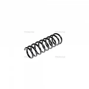 Пружина підвіски TRISCAN задня вісь для HYUNDAI KIA - Фото 1
